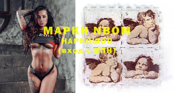 индика Верея