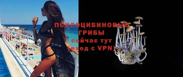 ГАЛЛЮЦИНОГЕННЫЕ ГРИБЫ Верхнеуральск