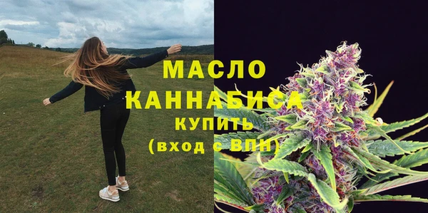 индика Верея