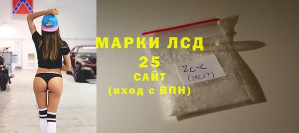 индика Верея