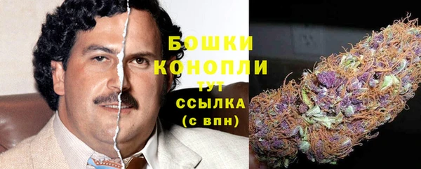 индика Верея