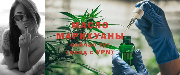 индика Верея